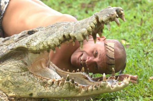 Удивительная дружба между крокодилом и человеком