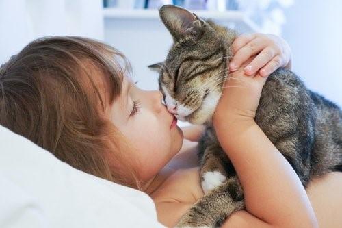 5 преимуществ, когда вы спите с кошкой в одной кровати
