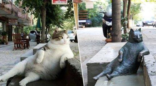 Статуя кошки